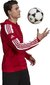Miesten pusero Adidas Squadra 21 punainen GP6435 L hinta ja tiedot | Jalkapallovaatteet ja -varusteet | hobbyhall.fi