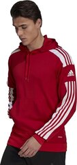 Miesten pusero Adidas Squadra 21 punainen GP6435 L hinta ja tiedot | Jalkapallovaatteet ja -varusteet | hobbyhall.fi