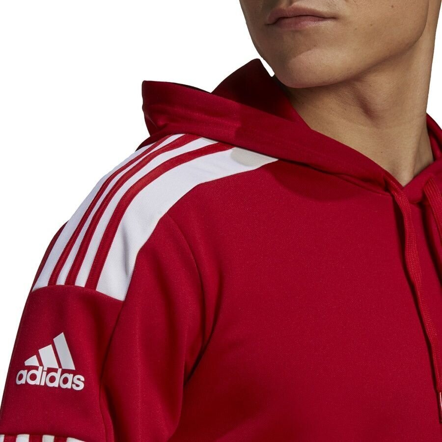 Miesten pusero Adidas Squadra 21 punainen GP6435 M hinta ja tiedot | Jalkapallovaatteet ja -varusteet | hobbyhall.fi