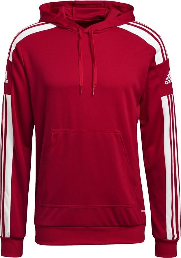 Miesten pusero Adidas Squadra 21 punainen GP6435 M hinta ja tiedot | Jalkapallovaatteet ja -varusteet | hobbyhall.fi