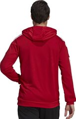 Miesten pusero Adidas Squadra 21 punainen GP6435 M hinta ja tiedot | Jalkapallovaatteet ja -varusteet | hobbyhall.fi