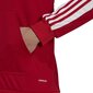 Miesten pusero Adidas Squadra 21 punainen GP6435 M hinta ja tiedot | Jalkapallovaatteet ja -varusteet | hobbyhall.fi