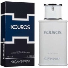 Yves Saint Laurent Kouros EDT miehelle 100 ml hinta ja tiedot | Naisten hajuvedet | hobbyhall.fi