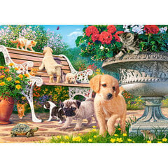 Puzzle 500 Piilota ja etsi 53636 hinta ja tiedot | Palapelit | hobbyhall.fi