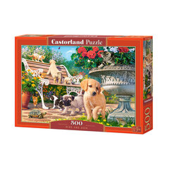 Puzzle 500 Piilota ja etsi 53636 hinta ja tiedot | Palapelit | hobbyhall.fi