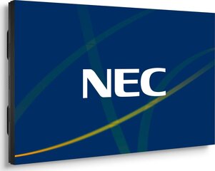 NEC 60004524 hinta ja tiedot | Näytöt | hobbyhall.fi