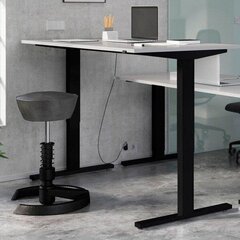 Työpöytä 4244, harmaa hinta ja tiedot | Tietokonepöydät ja työpöydät | hobbyhall.fi
