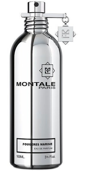 MONTALE Fougeres Marine EDP unisex 100 ml hinta ja tiedot | Naisten hajuvedet | hobbyhall.fi