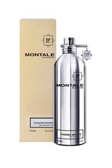 MONTALE Fougeres Marine EDP unisex 100 ml hinta ja tiedot | Naisten hajuvedet | hobbyhall.fi