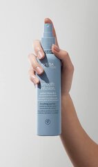 Silottava hiusspray Aveda Smooth Infusion 200 ml hinta ja tiedot | Kampaamotuotteet | hobbyhall.fi