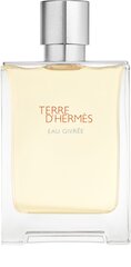 Hajuvesi Hermes Terre D'Hermes Eau Givree EDP miehille 100 ml hinta ja tiedot | Miesten hajuvedet | hobbyhall.fi