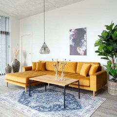 Sohvapöytä Lugano, 110x60x45 cm, vaaleanruskea hinta ja tiedot | Sohvapöydät | hobbyhall.fi