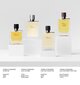 Hajuvesi Hermes Terre D'Hermes Eau Givree EDP miehille 50 ml hinta ja tiedot | Miesten hajuvedet | hobbyhall.fi