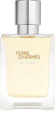 Hajuvesi Hermes Terre D'Hermes Eau Givree EDP miehille 50 ml hinta ja tiedot | Miesten hajuvedet | hobbyhall.fi