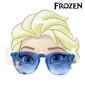 Frozen -aurinkolasit hinta ja tiedot | Lasten asusteet | hobbyhall.fi