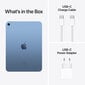 iPad 10.9" Wi-Fi 64GB - Blue 10th Gen - MPQ13HC/A hinta ja tiedot | Tabletit | hobbyhall.fi