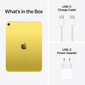 iPad 10.9" Wi-Fi + Cellular 256GB - Yellow 10th Gen - MQ6V3HC/A hinta ja tiedot | Tabletit | hobbyhall.fi