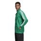 Adidas performance neule tiro19 tr jkt dw4794 hinta ja tiedot | Miesten puserot ja hupparit | hobbyhall.fi