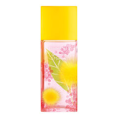 Elizabeth Arden Green Tea Mimosa EDT naiselle 100 ml hinta ja tiedot | Naisten hajuvedet | hobbyhall.fi