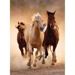 Palapeli Clementoni High Quality Running Horses 1000 palaa hinta ja tiedot | Palapelit | hobbyhall.fi