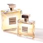 Parfum Chanel Gabrielle EDP naisille 100 ml hinta ja tiedot | Naisten hajuvedet | hobbyhall.fi