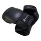 Nyrkkeilyhanskat Bruce Lee Allround Boxing Gloves Pro, 16 oz hinta ja tiedot | Kamppailulajit | hobbyhall.fi