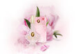 Hajuvesi naisille Pani Walewska Sweet Romance EDP 30 ml hinta ja tiedot | Naisten hajuvedet | hobbyhall.fi