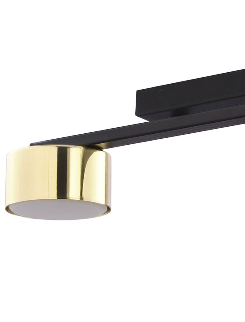 Kattovalaisin TK Lighting Dallas gold 6091 hinta ja tiedot | Kattovalaisimet | hobbyhall.fi