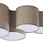 Kattovalaisin TK Lighting Mona Nature 6593 hinta ja tiedot | Kattovalaisimet | hobbyhall.fi