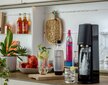 SodaStream Terra Black hinta ja tiedot | Hiilihapotuslaitteet | hobbyhall.fi