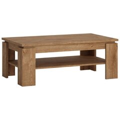 Fribo-B RVT24 -sohvapöytä 110x67 cm, kultainen tammi hinta ja tiedot | Sohvapöydät | hobbyhall.fi