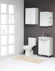 Kylpyhuoneen kaappi pesualtaalla ELZA EA50-3 hinta ja tiedot | RB bathroom Kylpyhuoneen kalusteet | hobbyhall.fi
