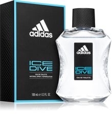 Hajuvesi Adidas Ice Dive EDT miehille 100 ml hinta ja tiedot | Miesten hajuvedet | hobbyhall.fi