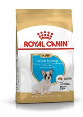 Royal Canin French Bulldog Junior koirille, 3 kg hinta ja tiedot | Koiran kuivaruoka | hobbyhall.fi