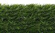 Nature-keinotekoinen pensasaita, 100 cm x 300 cm, vihreä hinta ja tiedot | Aidat ja tarvikkeet | hobbyhall.fi