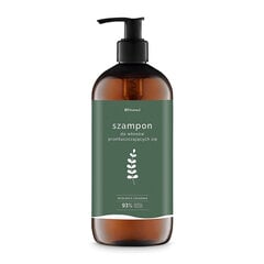 Fitomed-shampoo rasvoittuville hiuksille, 250g hinta ja tiedot | Shampoot | hobbyhall.fi