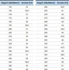 Zetrablade W vapaa-ajan rullaluistimet 36.5, musta hinta ja tiedot | Rullaluistimet | hobbyhall.fi