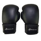 Nyrkkeilyhanskat Bruce Lee Allround Boxing Gloves Pro, 10 oz hinta ja tiedot | Kamppailulajit | hobbyhall.fi