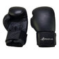 Nyrkkeilyhanskat Bruce Lee Allround Boxing Gloves Pro, 10 oz hinta ja tiedot | Kamppailulajit | hobbyhall.fi