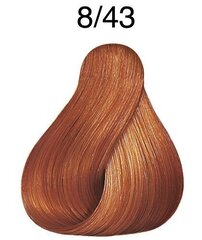 Wella Color Touch - Vibrant Reds, 8/43/Light Red Gold Blonde hiusväri, 60 ml, 60 ml hinta ja tiedot | Wella Hajuvedet ja kosmetiikka | hobbyhall.fi