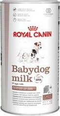 Royal Canin maidonkorvike pennuille Babydog Milk, 0,4 kg hinta ja tiedot | Koiran märkäruoka | hobbyhall.fi