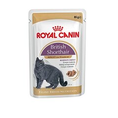 Royal Canin British Shorthair -säilyke, 85 g hinta ja tiedot | Kissanruoka | hobbyhall.fi