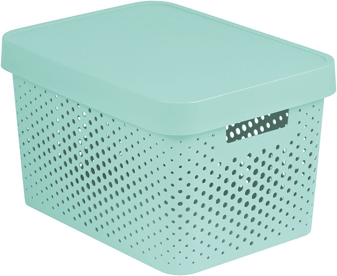 Curver Infinity - säilytyslaatikko. Tuotteen tilavuus on 17 litraa ja sen väri on sävyltään hopeinen. hinta ja tiedot | Säilytyslaatikot ja -korit | hobbyhall.fi