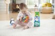 Fisher-Price® lelusarja 6+ kk HFJ93 hinta ja tiedot | Vauvan lelut | hobbyhall.fi