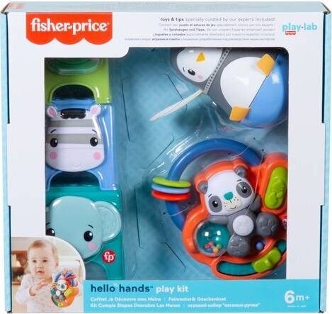 Fisher-Price® lelusarja 6+ kk HFJ93 hinta ja tiedot | Vauvan lelut | hobbyhall.fi