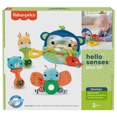 Fisher-Price® leikkisetti 3+ kuukautta HFJ92 hinta ja tiedot | Vauvan lelut | hobbyhall.fi