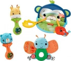 Fisher-Price® leikkisetti 3+ kuukautta HFJ92 hinta ja tiedot | Vauvan lelut | hobbyhall.fi