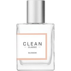 Clean Classic For Woman EDP naiselle 30 ml hinta ja tiedot | Clean Hajuvedet ja kosmetiikka | hobbyhall.fi