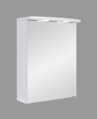 Kylpyhuonekaappi Bruno, 50x62x24 cm, valkoinen hinta ja tiedot | Kylpyhuonekaapit | hobbyhall.fi