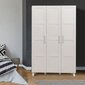 Vaatekaappi Kalune Design Wardrobe 869 (III), 120 cm, valkoinen hinta ja tiedot | Kaapit | hobbyhall.fi